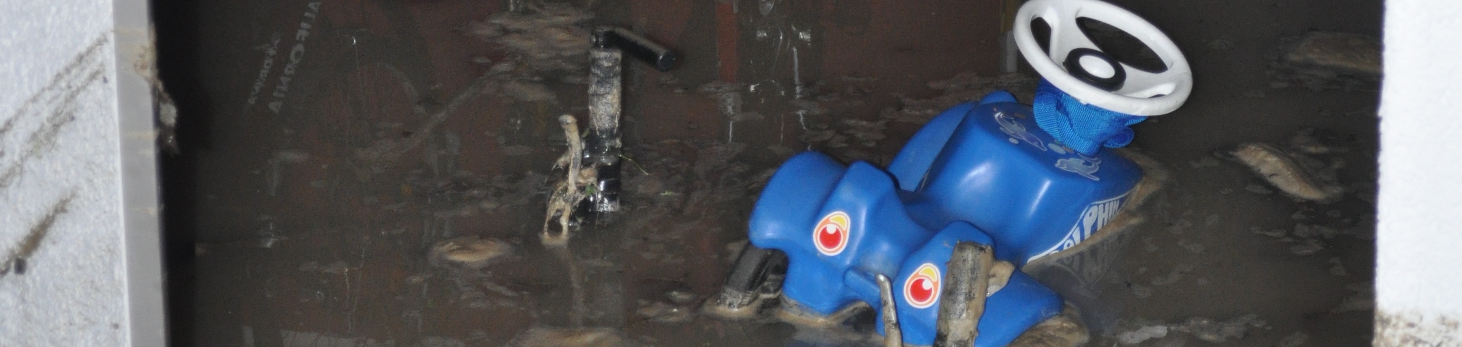 Kopfbild Was tun wenn wasser