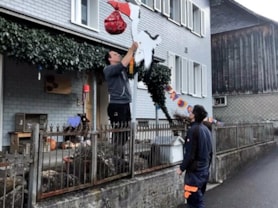 Storch für Jondis Koller 20.02.2020